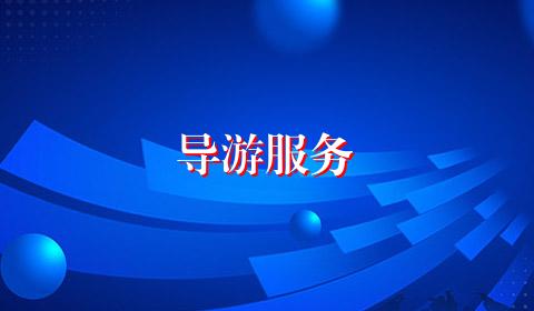 导游服务