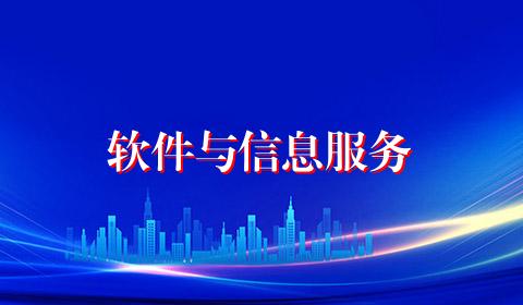 软件与信息服务