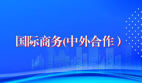 国际商务(中外合作）