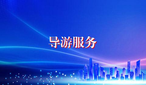 导游服务