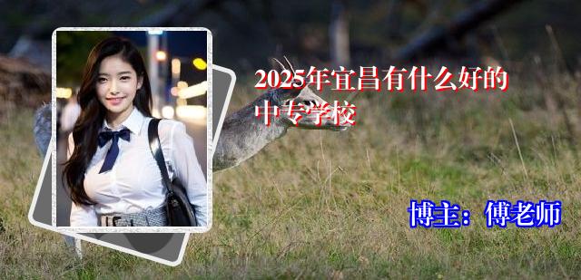 2025年宜昌有什么好的中专学校