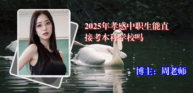 2025年孝感中职生能直接考本科学校吗