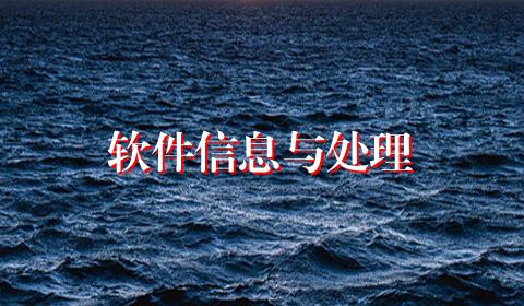 软件信息与处理