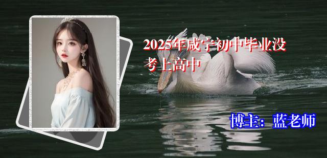 2025年咸宁初中毕业没考上高中