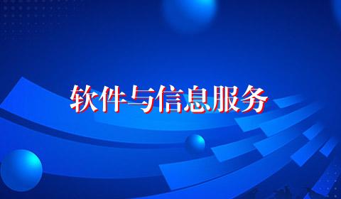 软件与信息服务