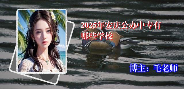 2025年安庆公办中专有哪些学校