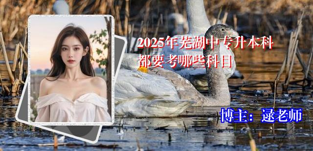 2025年芜湖中专升本科都要考哪些科目