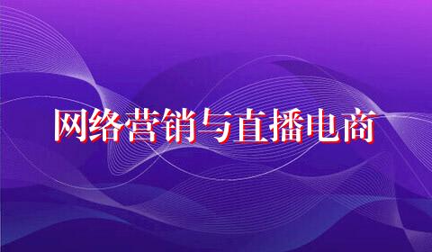 网络营销与直播电商