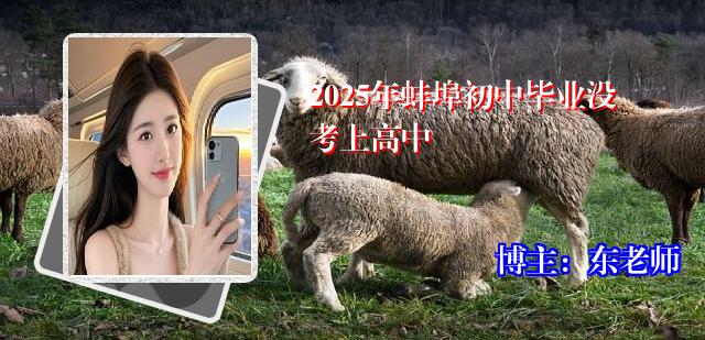 2025年蚌埠初中毕业没考上高中
