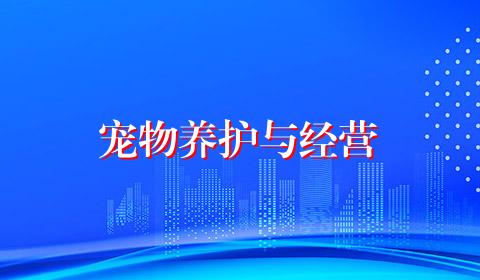宠物养护与经营