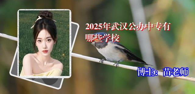 2025年武汉公办中专有哪些学校