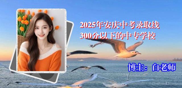 2025年安庆中考录取线300分以下的中专学校