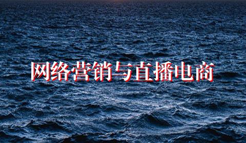 网络营销与直播电商