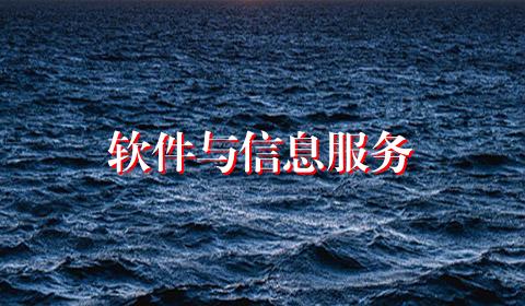 软件与信息服务