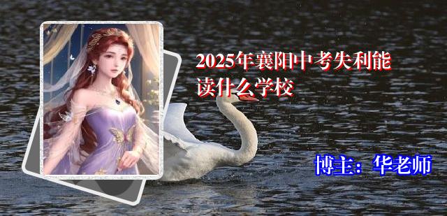 2025年襄阳中考失利能读什么学校
