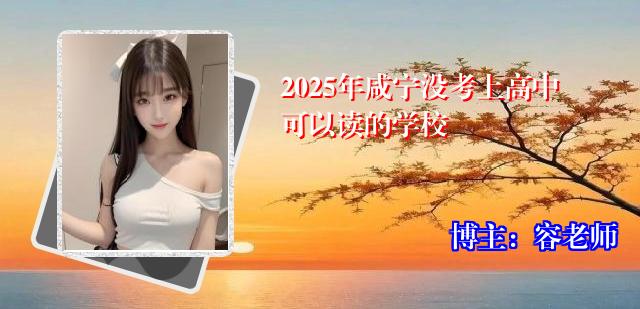 2025年咸宁没考上高中可以读的学校
