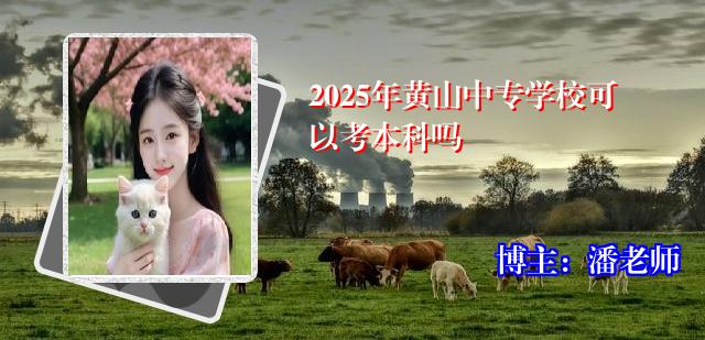 2025年黄山中专学校可以考本科吗