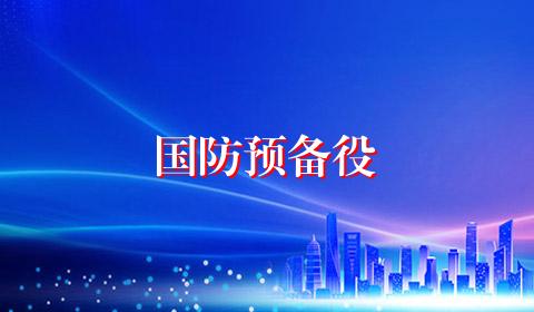 国防预备役