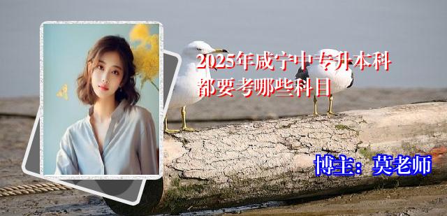 2025年咸宁中专升本科都要考哪些科目