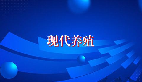 现代养殖
