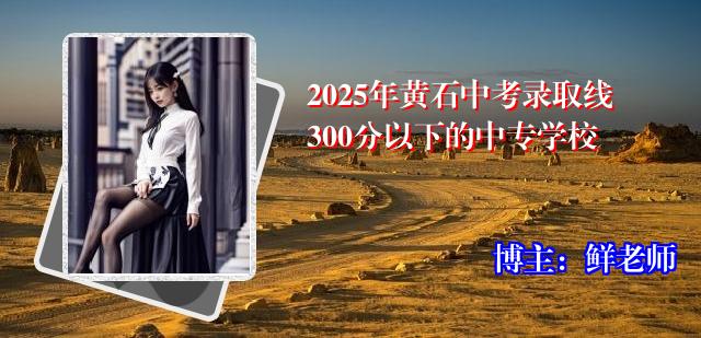 2025年黄石中考录取线300分以下的中专学校