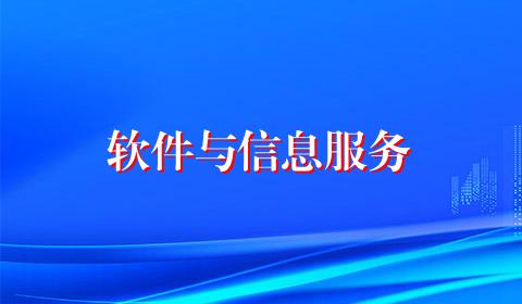 软件与信息服务