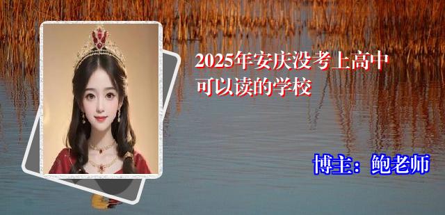 2025年安庆没考上高中可以读的学校