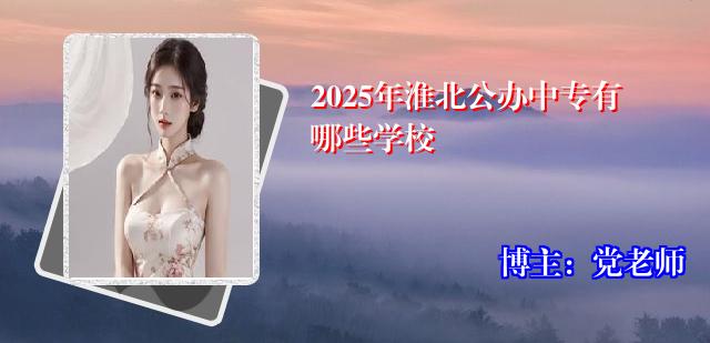 2025年淮北公办中专有哪些学校
