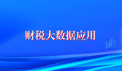 财税大数据应用