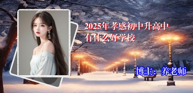 2025年孝感初中升高中有什么好学校