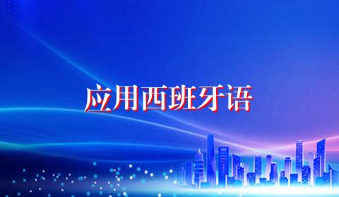 应用西班牙语