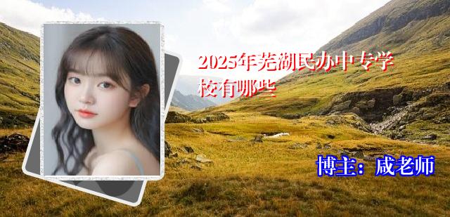 2025年芜湖民办中专学校有哪些