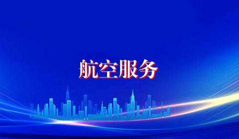 航空服务