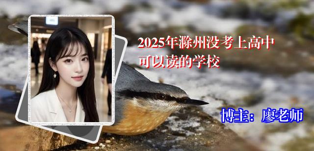 2025年滁州没考上高中可以读的学校