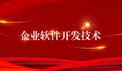 企业软件开发技术