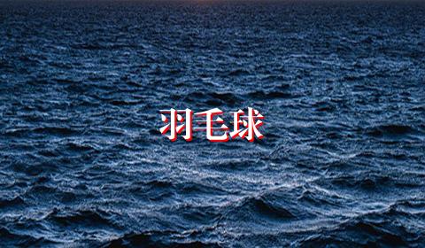 羽毛球