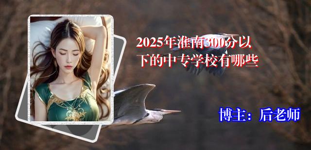 2025年淮南300分以下的中专学校有哪些