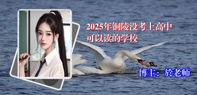 2025年铜陵没考上高中可以读的学校