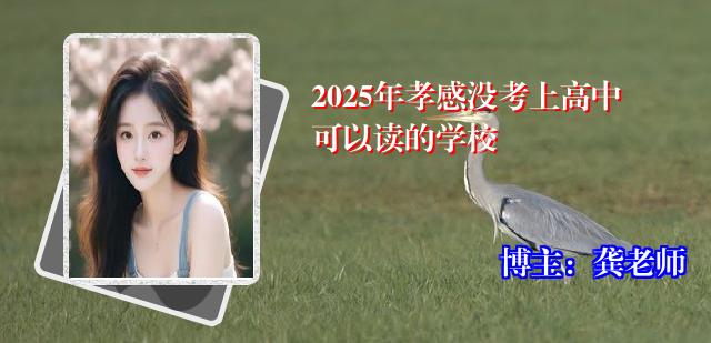 2025年孝感没考上高中可以读的学校