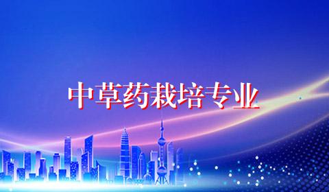 中草药栽培专业