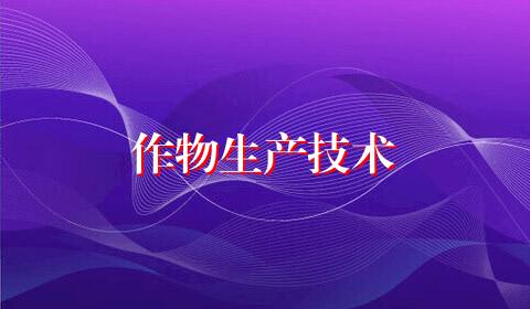 作物生产技术