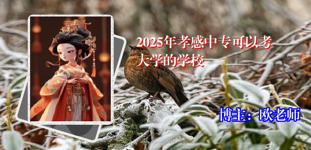 2025年孝感中专可以考大学的学校