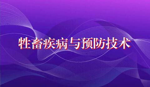 牲畜疾病与预防技术