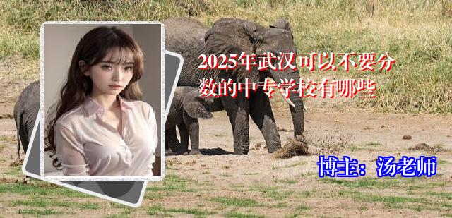 2025年武汉可以不要分数的中专学校有哪些