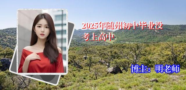 2025年随州初中毕业没考上高中