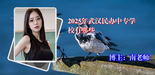 2025年武汉民办中专学校有哪些