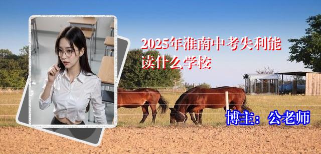 2025年淮南中考失利能读什么学校