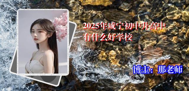 2025年咸宁初中升高中有什么好学校