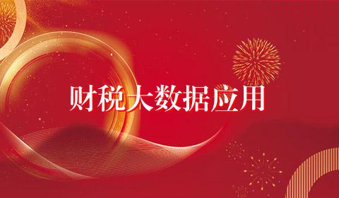 财税大数据应用