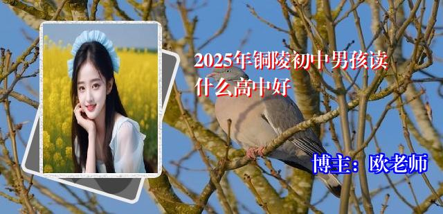 2025年铜陵初中男孩读什么高中好
